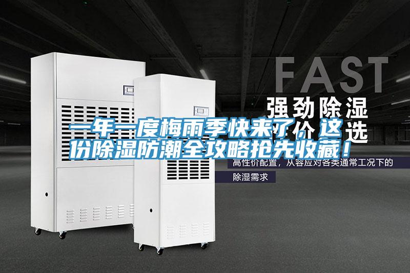 一年一度梅雨季快來了，這份除濕防潮全攻略搶先收藏！
