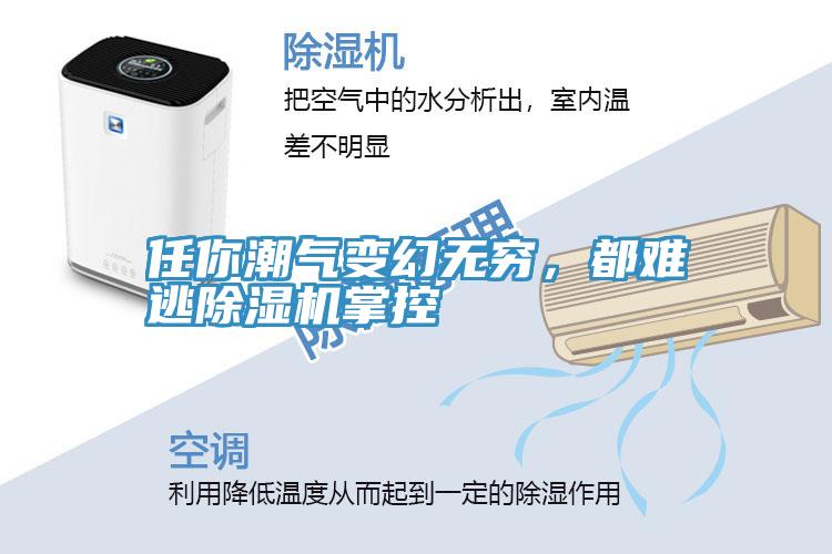 任你潮氣變幻無窮，都難逃除濕機掌控