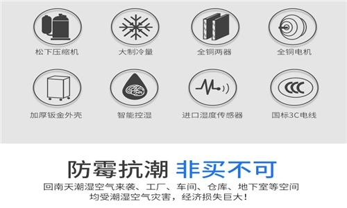 為什么房子潮濕會有危害？