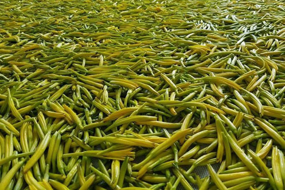 無(wú)硫金針菜烘干如何保持品相？不發(fā)黑？