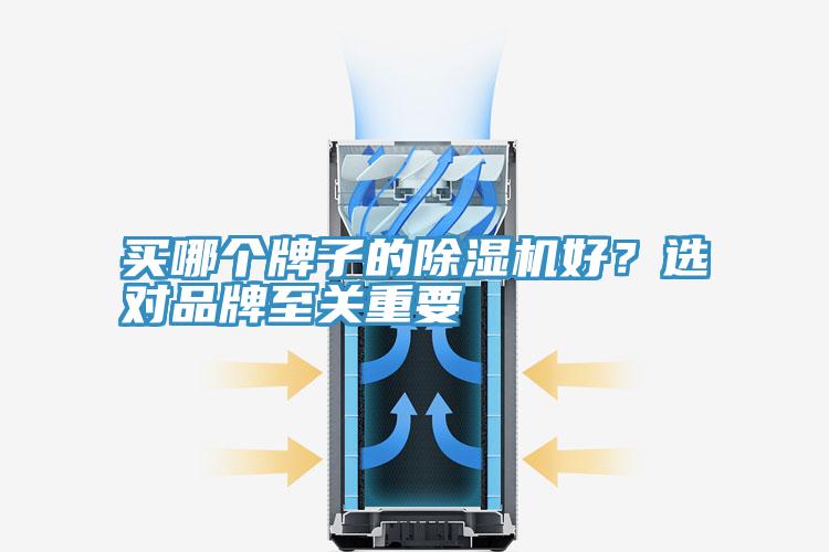 買哪個牌子的除濕機(jī)好？選對品牌至關(guān)重要