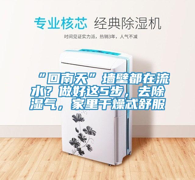 “回南天”墻壁都在流水？做好這5步，去除濕氣，家里干燥忒舒服