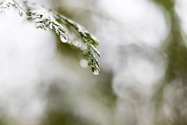 空氣濕度大帶來的危害有哪些，你知道嗎？