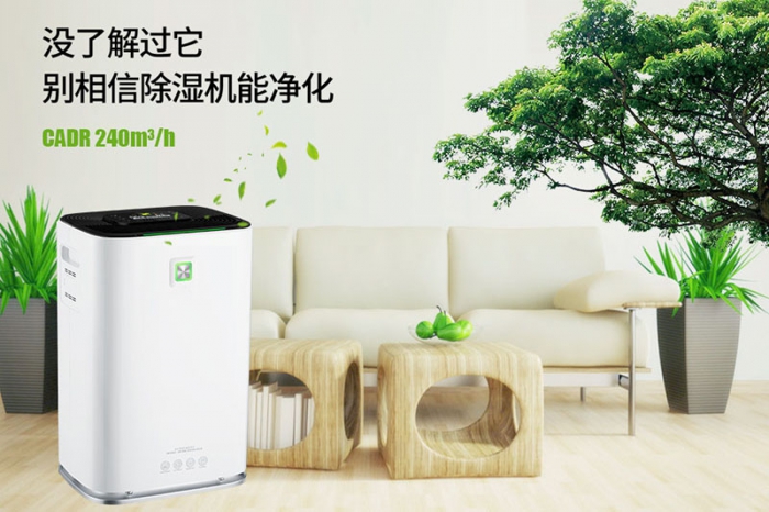 一到回南天狗狗就感冒+皮膚病，怎么辦？