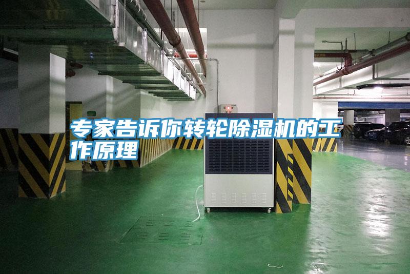 專(zhuān)家告訴你轉(zhuǎn)輪除濕機(jī)的工作原理