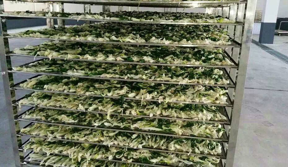 菜干需求一直都很大，蔬菜烘干機(jī)很有市場(chǎng)