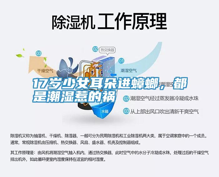 17歲少女耳朵進蟑螂，都是潮濕惹的禍