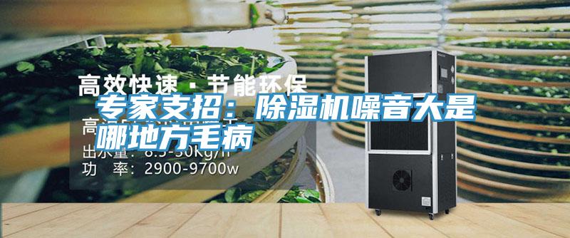 專(zhuān)家支招：除濕機(jī)噪音大是哪地方毛病