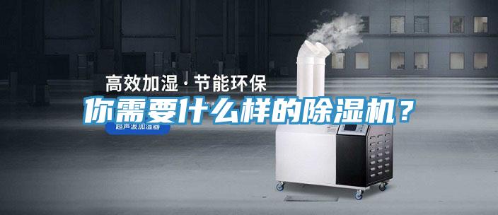 你需要什么樣的除濕機？