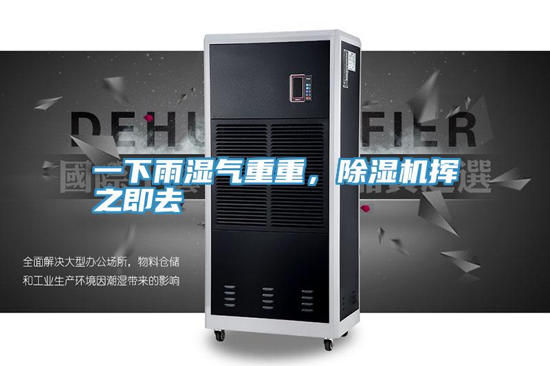 一下雨濕氣重重，除濕機(jī)揮之即去
