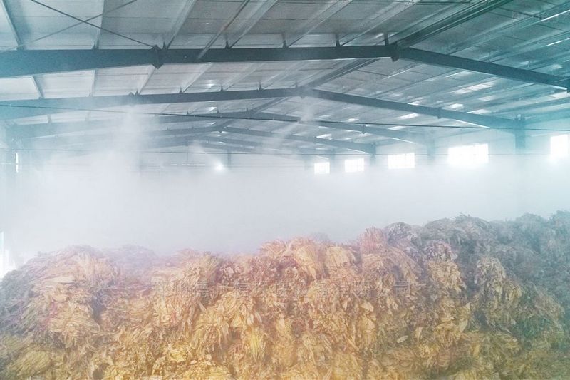 提升煙葉加工質(zhì)量，高效回潮很重要