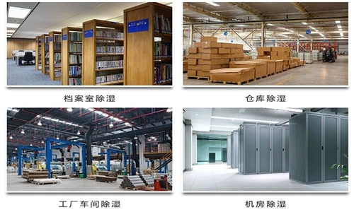 為什么竹筍烘干房需要除濕機？