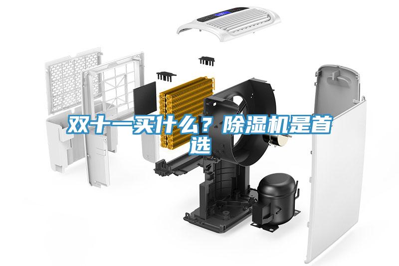雙十一買什么？除濕機(jī)是首選