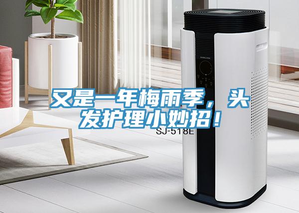 又是一年梅雨季，頭發(fā)護理小妙招！
