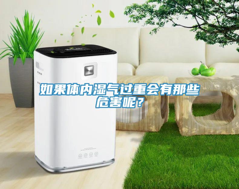 如果體內(nèi)濕氣過(guò)重會(huì)有那些危害呢？