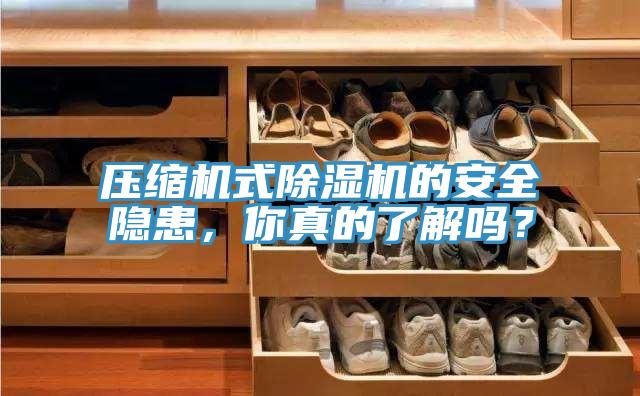 壓縮機式除濕機的安全隱患，你真的了解嗎？
