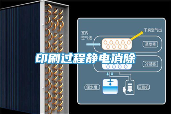 印刷過(guò)程靜電消除