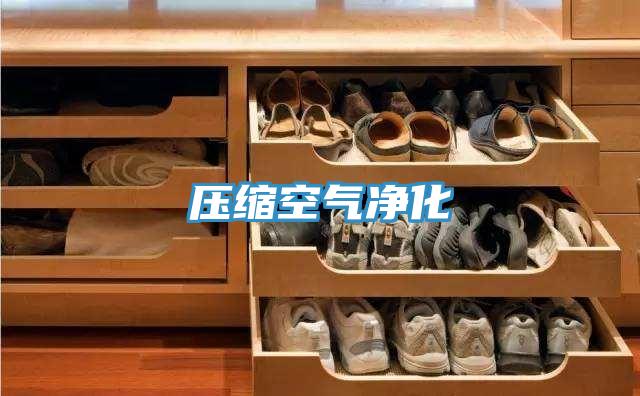 壓縮空氣凈化