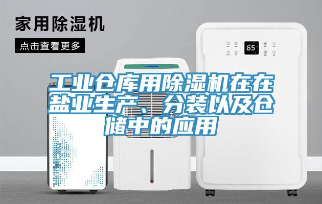 工業(yè)倉庫用除濕機(jī)在在鹽業(yè)生產(chǎn)、分裝以及倉儲中的應(yīng)用