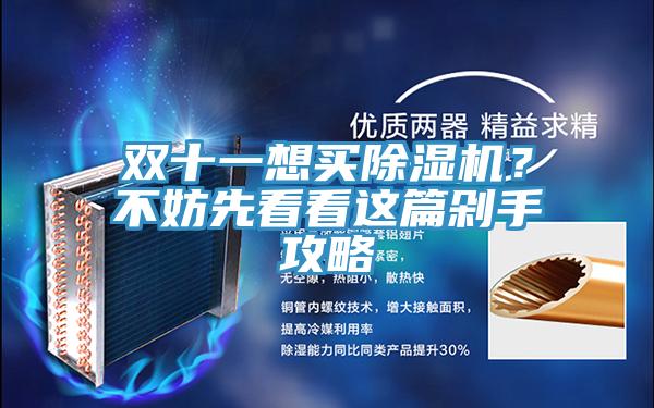 雙十一想買除濕機？不妨先看看這篇剁手攻略