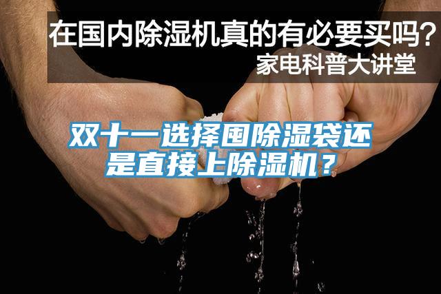 雙十一選擇囤除濕袋還是直接上除濕機(jī)？