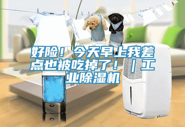 好險(xiǎn)！今天早上我差點(diǎn)也被吃掉了?。I(yè)除濕機(jī)