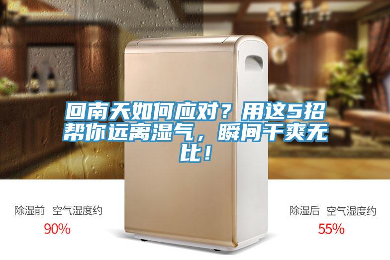 回南天如何應(yīng)對？用這5招幫你遠離濕氣，瞬間干爽無比！