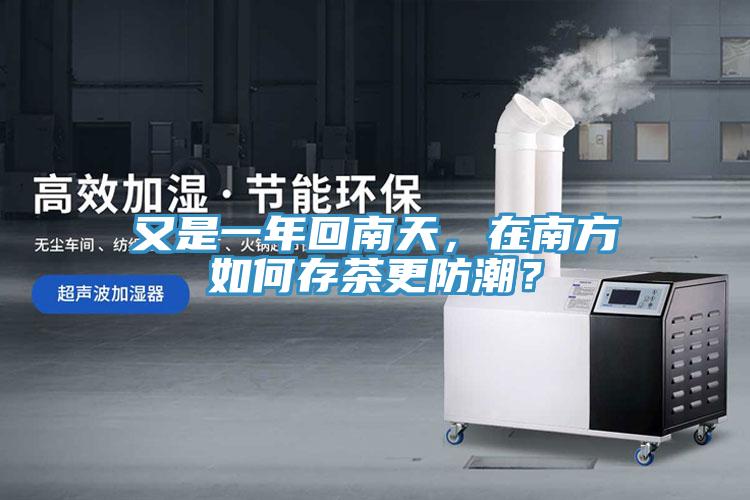 又是一年回南天，在南方如何存茶更防潮？