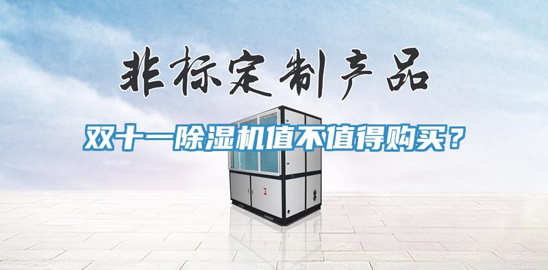 雙十一除濕機值不值得購買？