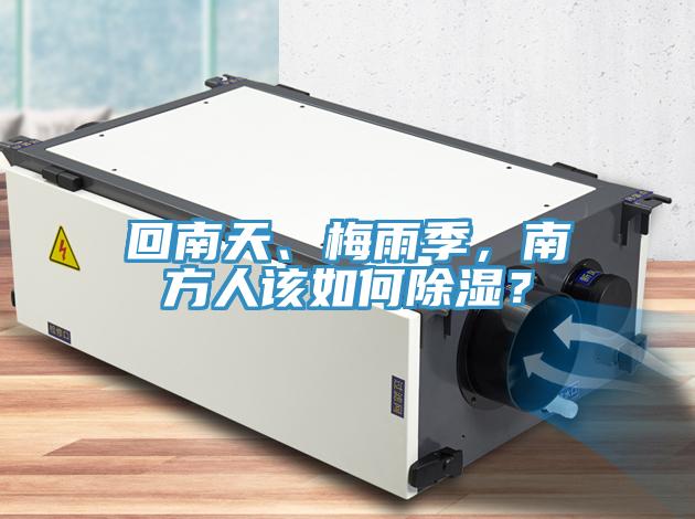 回南天、梅雨季，南方人該如何除濕？