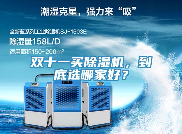 雙十一買除濕機，到底選哪家好？
