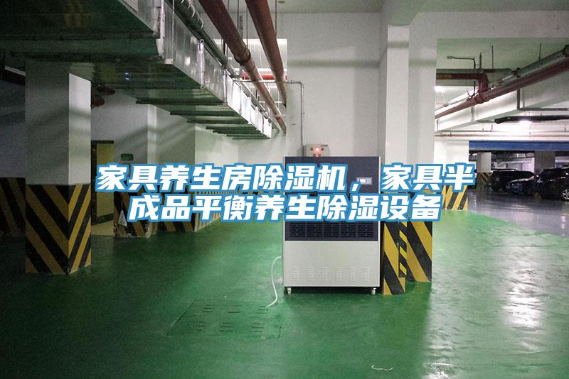 家具養(yǎng)生房除濕機，家具半成品平衡養(yǎng)生除濕設備