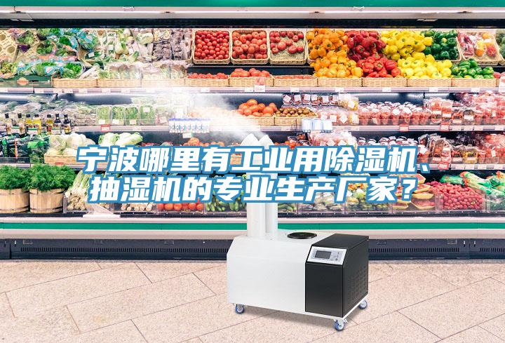 寧波哪里有工業(yè)用除濕機(jī)、抽濕機(jī)的專業(yè)生產(chǎn)廠家？
