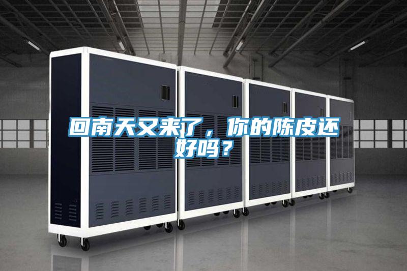 回南天又來(lái)了，你的陳皮還好嗎？