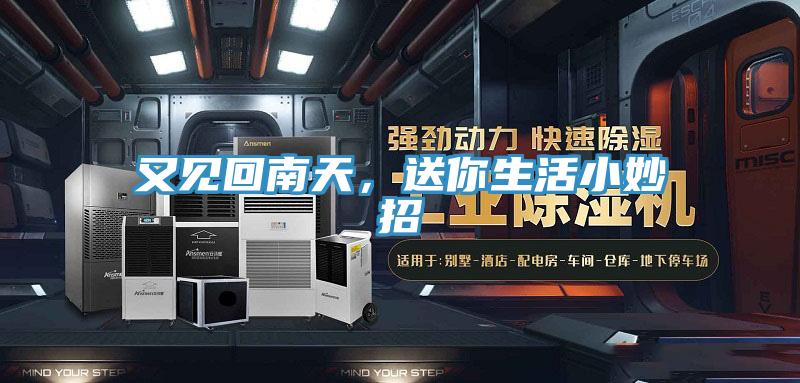 又見回南天，送你生活小妙招