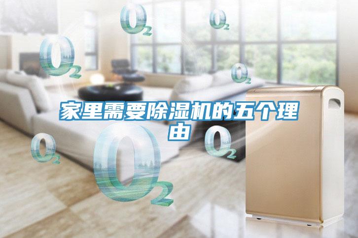 家里需要除濕機(jī)的五個理由