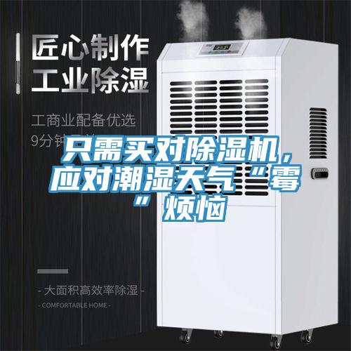 只需買對(duì)除濕機(jī)，應(yīng)對(duì)潮濕天氣“霉”煩惱