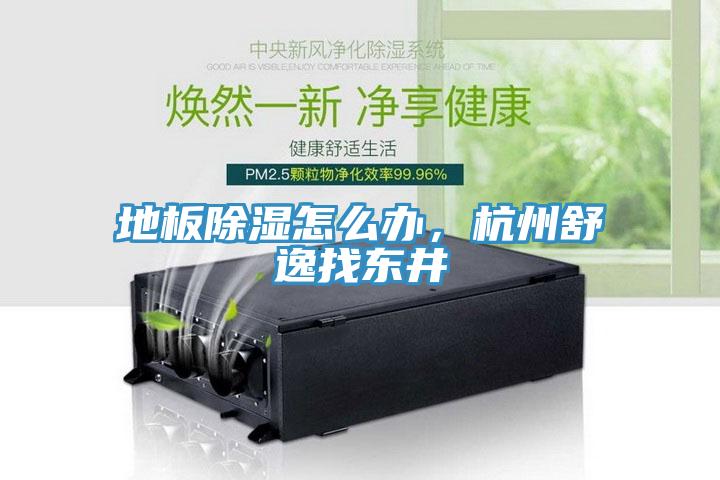 地板除濕怎么辦，杭州舒逸找東井