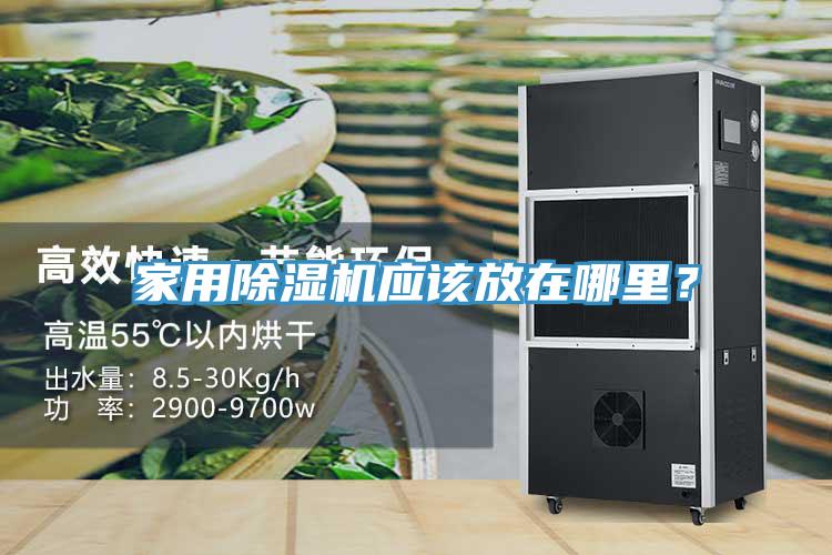 家用除濕機應該放在哪里？