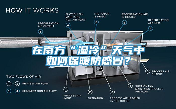 在南方“濕冷”天氣中如何保暖防感冒？