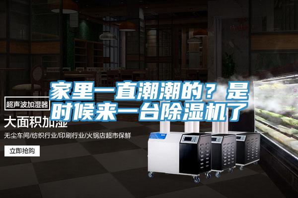 家里一直潮潮的？是時(shí)候來(lái)一臺(tái)除濕機(jī)了