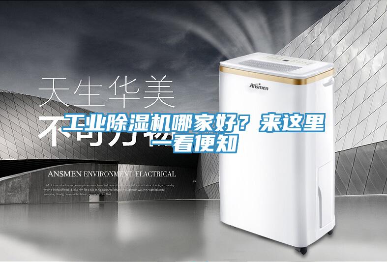 工業(yè)除濕機哪家好？來這里一看便知