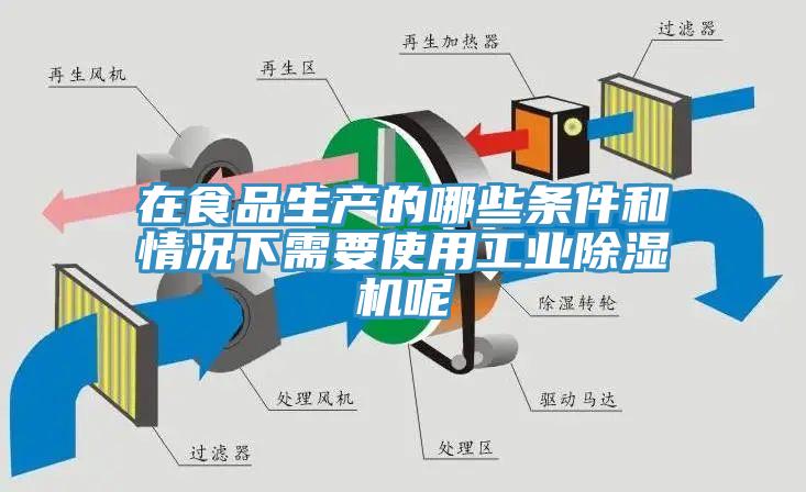 在食品生產(chǎn)的哪些條件和情況下需要使用工業(yè)除濕機呢