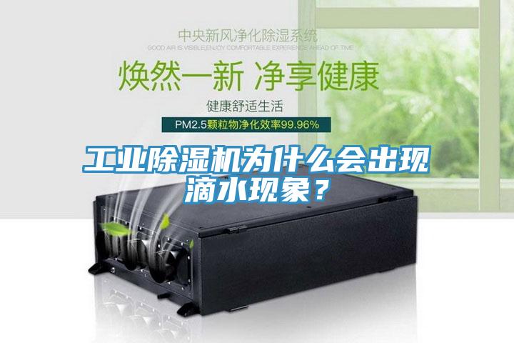 工業(yè)除濕機為什么會出現(xiàn)滴水現(xiàn)象？