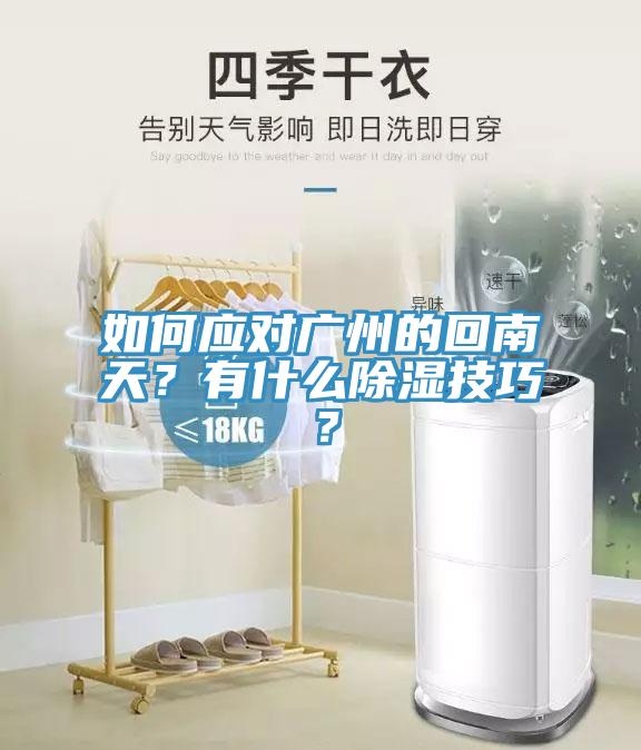 如何應對廣州的回南天？有什么除濕技巧？
