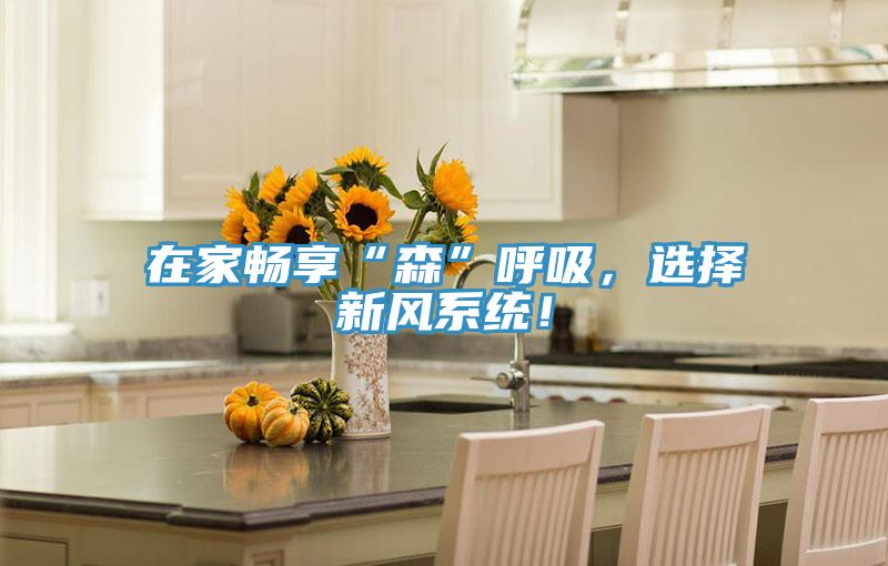 在家暢享“森”呼吸，選擇新風(fēng)系統(tǒng)！
