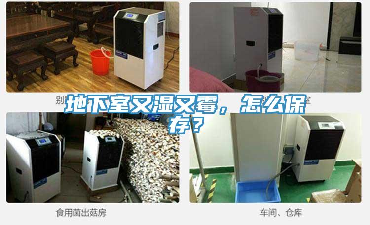 地下室又濕又霉，怎么保存？