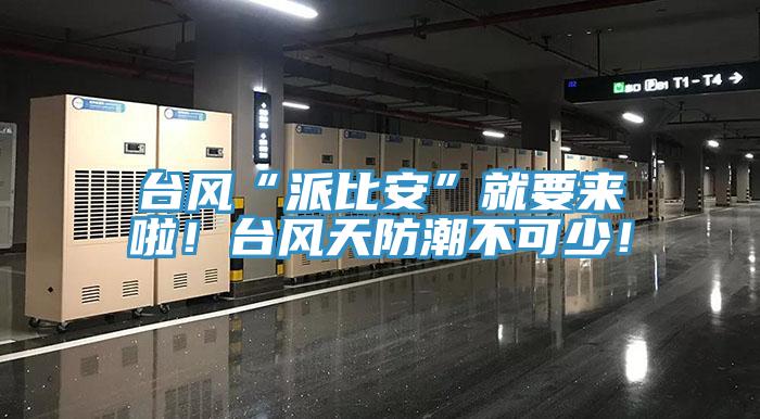 臺(tái)風(fēng)“派比安”就要來啦！臺(tái)風(fēng)天防潮不可少！
