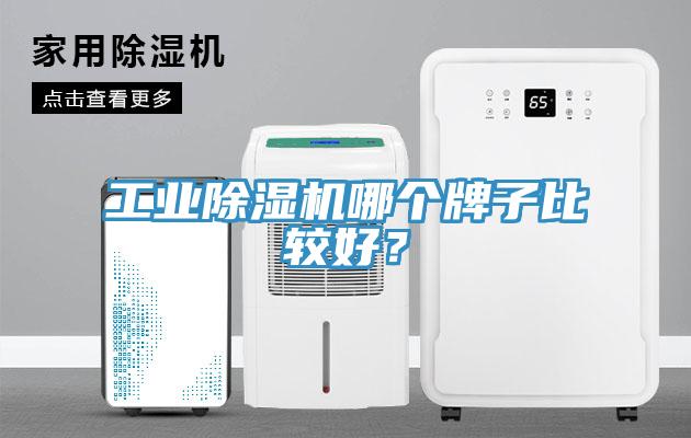 工業(yè)除濕機(jī)哪個(gè)牌子比較好？