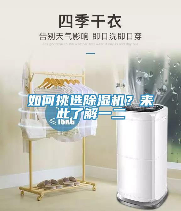 如何挑選除濕機？來此了解一二